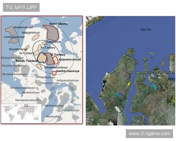亚马尔地区的能源战略与全球气候变化的互动分析与展望